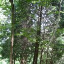 월평천 | [2010. 08. 22 나주 금성산 산행 후기]