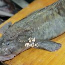 순이네맛집 이미지