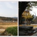 백암온천주유소 이미지