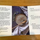 곱다시제주