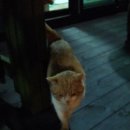 양구조은펜션 이미지