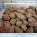 안면도시골농산 이미지