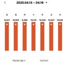 동그마니 | 🚶‍♀️매일걷기 249주차🚶‍♀️