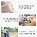 이노셀러 이미지