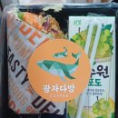 고창보건소 | 20251207(일) 화순고인돌마라톤 하프 후기