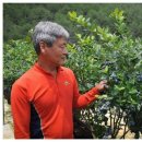 산청농장 | 산청블루베리농장