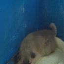 한배미길 이미지