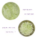 란장식