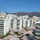 서면삼익 이미지