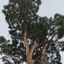 신북중학교 이미지