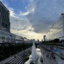 더 피올라 플라워 이미지