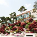 서정대학교 이미지