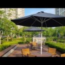 New Morning - New Parasol 이미지