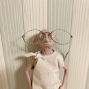 씨네마안경원 이미지