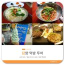 으뜸아이스크림이도점 | [담양]맛집, 먹방 투어 - 진우네 국수 / 댓잎 아이스크림 / 담양애꽃