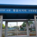 상촌 버스정류소 Daum카페