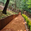 폭신폭신 이미지