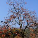 대상동경로당 이미지