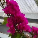 두원공소 이미지