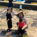 그리던바다 이미지