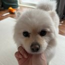 #14 | 사랑하는 5월
