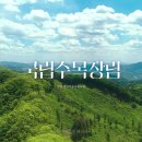 드론촬영으로 완성한 국립수목장림 홍보영상 제작 후기