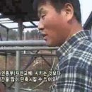 황금돼지농장 이미지