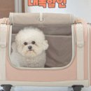 아띠 펫 이미지