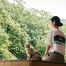 팜프라촌 이미지