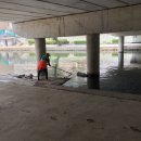 세탁하는사람들 이미지