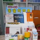 나이스오서약국 이미지