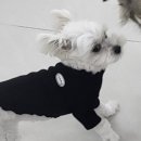 아우어독 이미지