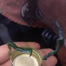 놀러와당구카페 | 6월도 고렇게 지나버렸디