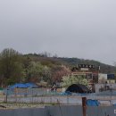 복사꽃피는마을 이미지