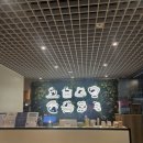 라온펫미용실 이미지