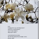 지금봄날