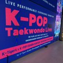 K헌터스태권도 이미지