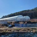 백일농장 이미지