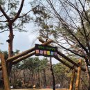 A8 | 태학산자연휴양림 겨울 캠핑 A8 사이트 후기