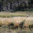 숲부동산중개사무소 이미지