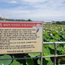 전통미꾸라지마을 티스토리