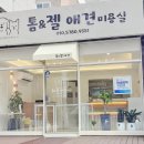 톰&젤 애견미용실 네이버블로그