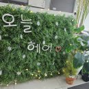 오늘도예쁘게헤어