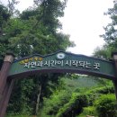 주성