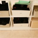 로하핏 스튜디오 이미지