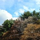 春來春 不似春 이미지