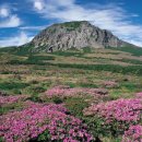 Jeju Island ( 주제 : 제주도 ) 이미지