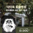Dr.dog동물의료센터 | 일산 중산동 동물병원 강아지 비강 출혈 원인, 전신 고혈압 진단 케이스
