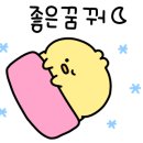 모터피플
