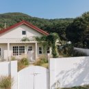 스테이밤밤 이미지